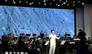 王宏伟再见了大别山